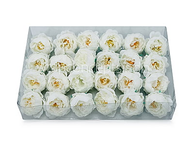 White Peonies (24 pcs)