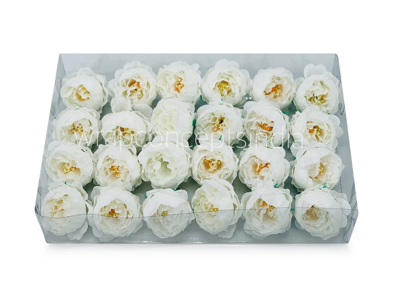 White Peonies (24 pcs)