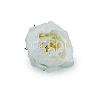 White Peonies (24 pcs)