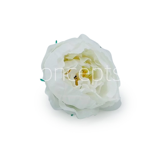 White Peonies (24 pcs)