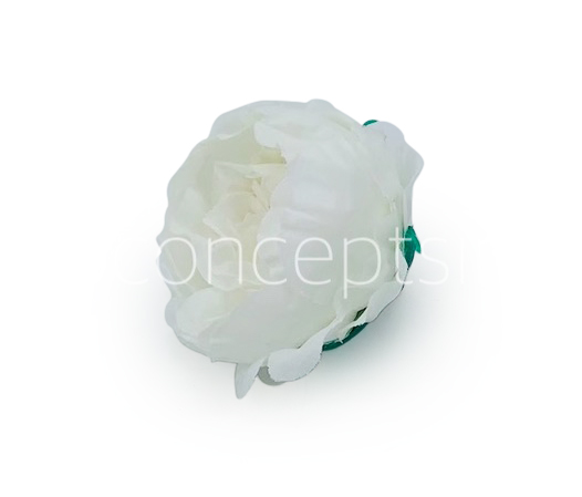 White Peonies (24 pcs)