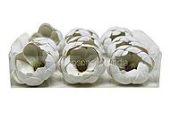 Ivory Pearl Blossom Pods
