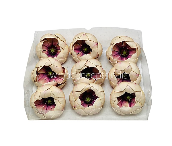 Champagne Orchid Blossom Pods