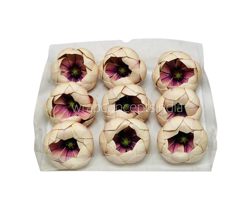 Champagne Orchid Blossom Pods