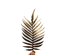 Golden Palm Leaf Spray