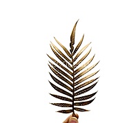 Golden Palm Leaf Spray