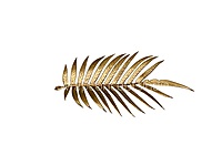 Golden Palm Leaf Spray