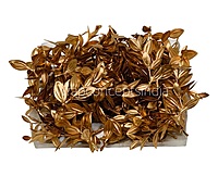 Slim Gold Botanical Stem