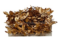 Slim Gold Botanical Stem