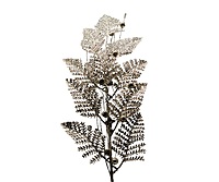 Royal Fern Sticks - Gold/Champagne