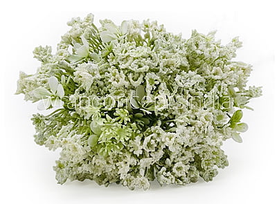 Gypsy Bunch with Flowers