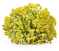 Gypsy Bunch with Flowers