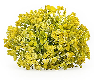 Gypsy Bunch with Flowers