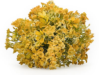 Gypsy Bunch with Flowers