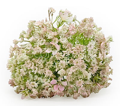 Gypsy Bunch with Flowers