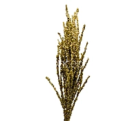 Gold & Champagne Glitter Spray Sticks