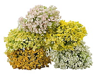 Gypsy Bunch with Flowers