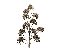 Celestial Spark Spray - Silver/Champagne