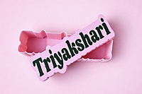 Custom Name Piggy Bank