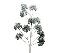 Celestial Spark Spray - Silver/Champagne