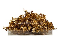 Metallic Gold Eucalyptus Spray
