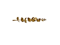 Metallic Gold Eucalyptus Spray