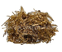 Golden Meadow Fern