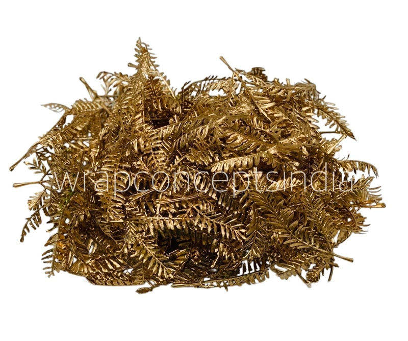 Golden Meadow Fern