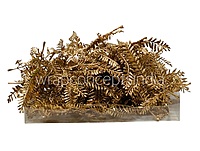 Golden Meadow Fern