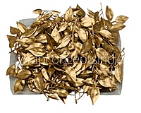 Golden Olive Leaf Stem
