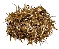 Wild Fern Gold Stem
