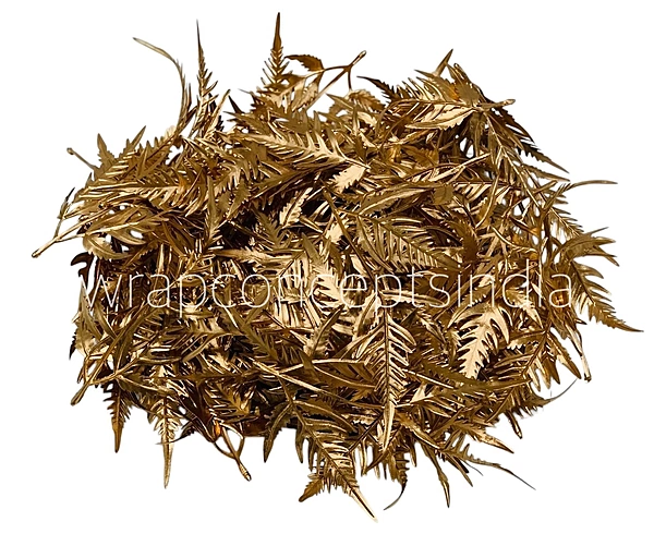 Wild Fern Gold Stem