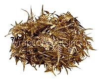 Wild Fern Gold Stem