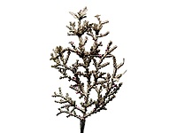 Champagne Coral Glitter Spray