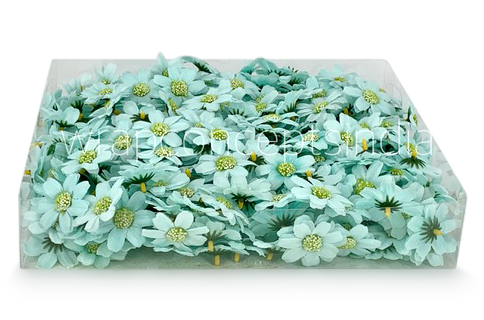 Mint Cosmos Flower