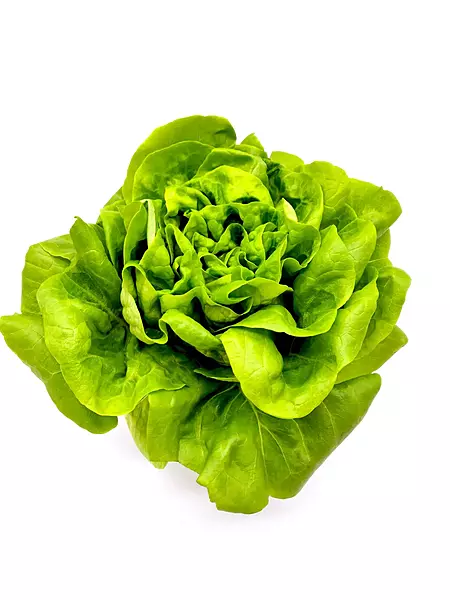 Butterhead Lettuce 250gms - IDRO Fresh