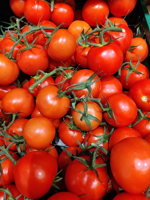 Tomato