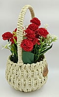 Hanging Flower Pot (5" X 11)