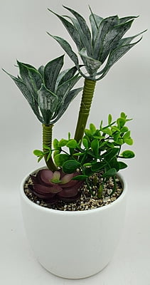 Blooming Beauty Pot (5" X 10")