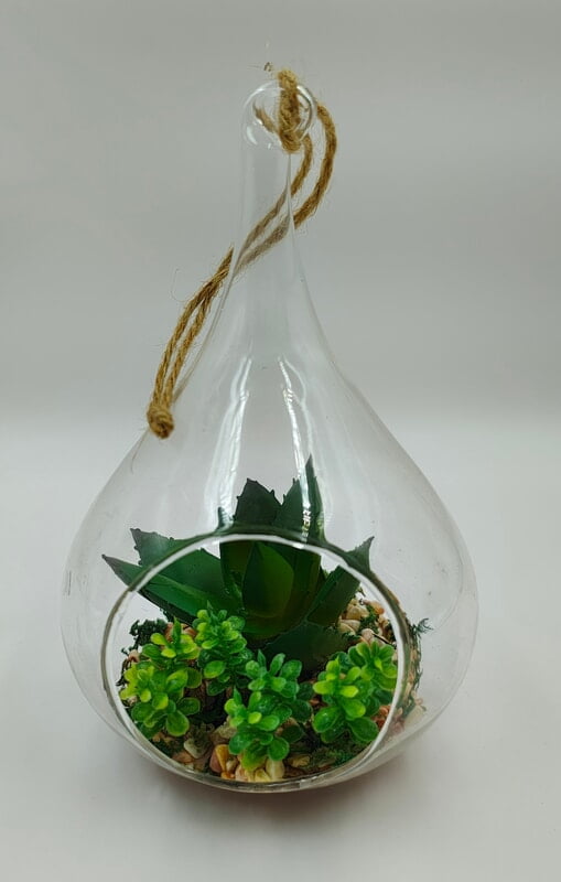 Bamboo Stick Display