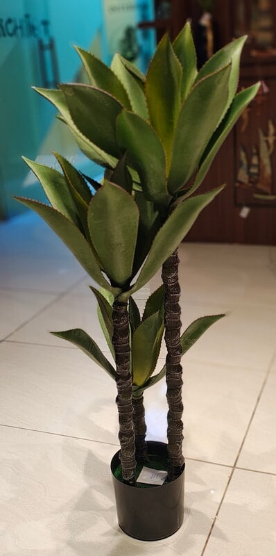 Cactus Display Pot (36")