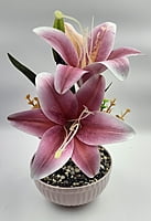 Nature’s Charm Flower Pot (5" X 11")