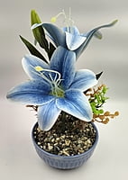 Nature’s Charm Flower Pot (5" X 11")