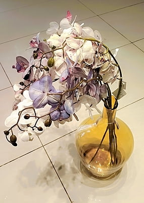 Tall Bloom Stick (36")