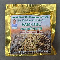VAM-DKC Mycorrhiza pack of 1 pouch powder form