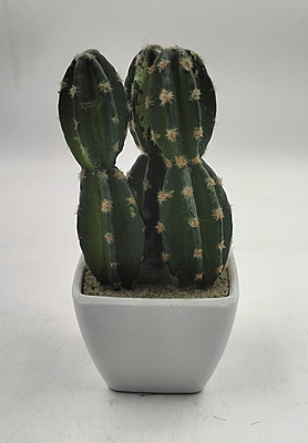 Plastic POT With Cactus