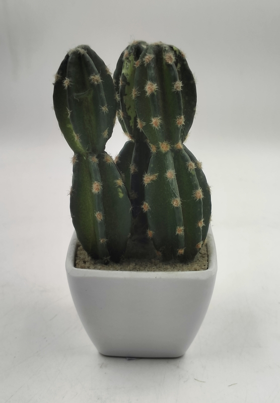 Plastic POT With Cactus