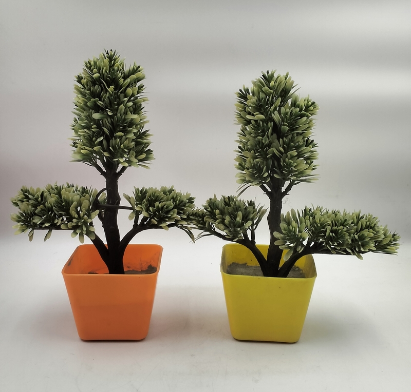 Plastic pot With Plant