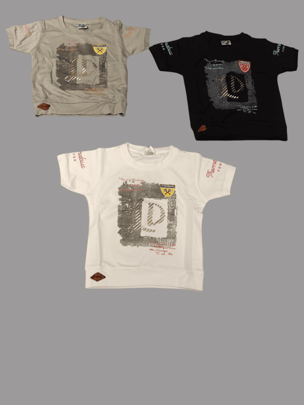 Boys' Casual Printed T-Shirt & Shorts Set D.46.2126 B.1483