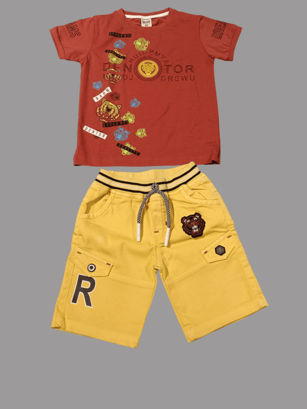 Boys' Stylish Graphic T-Shirt & Cargo Shorts D.26/6 B.3944